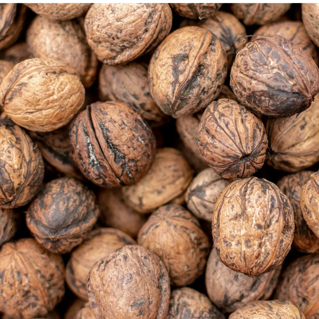 walnuts